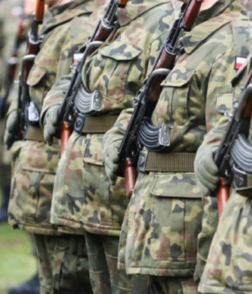 Polscy żołnierze w szeregu